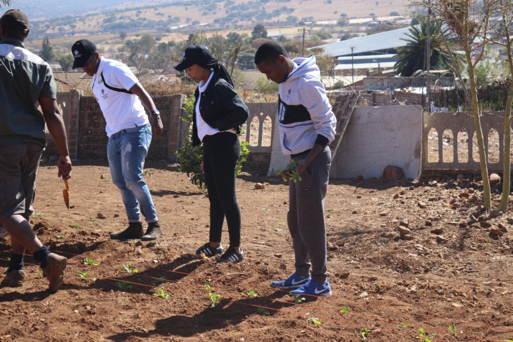 tut-varsity-football-plant-mandela-day
